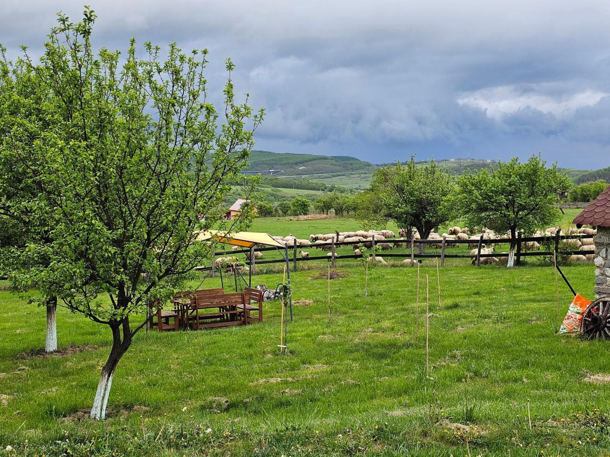 Pensiunea Printul Vlad Sibiel Exterior photo