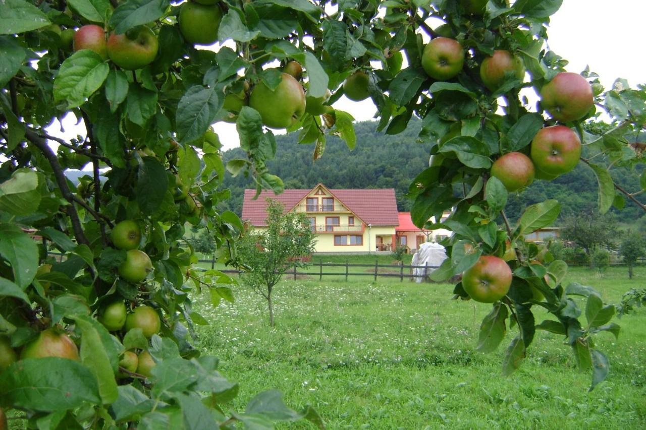 Pensiunea Printul Vlad Sibiel Exterior photo